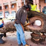 sin título (11 de 29) (Copiar) (Copiar)