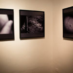 Curador Roberto Valcarcel