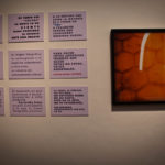 Curador Roberto Valcarcel