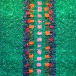 Curador Douglas Rodrigo Rada