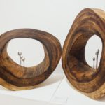 DE LA TIERRA - LORENA OLIVARES