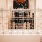 ERA - Alfredo Román