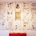 Expo Soy Tu Historia